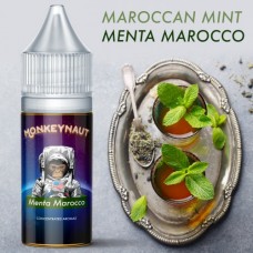 AROMA Monkeynaut Menta Marocco 10ml